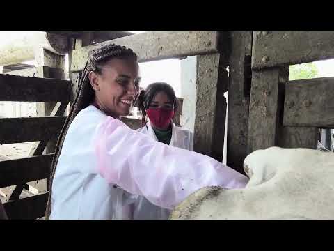 UNIRB NA TV l CURSO DE #VETERINÁRIA NA FAZENDA ESCOLA DA REDE UNIRB  | #TVUNIRB #transmitindosonhos