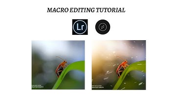 HOW TO EDIT A IMAGE USING LENS DISTORTION AND LIGHTROOM| HOW TO EDIT MOODY MACRO| LIGHTROOM TUTORIAL