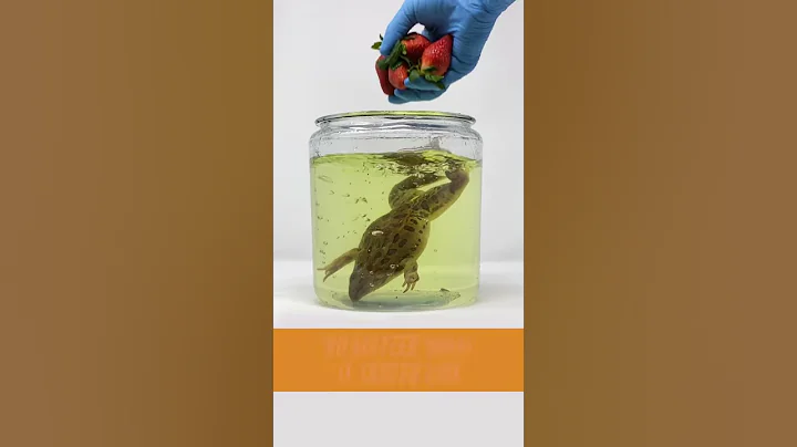Formaldehyde Is in Vapes & Preserves Dead Frogs – No Matter the Taste | #VapesDown - DayDayNews