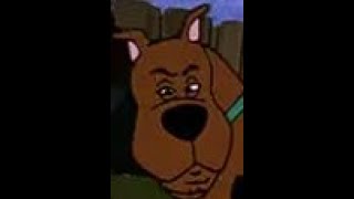 whats new scooby doo