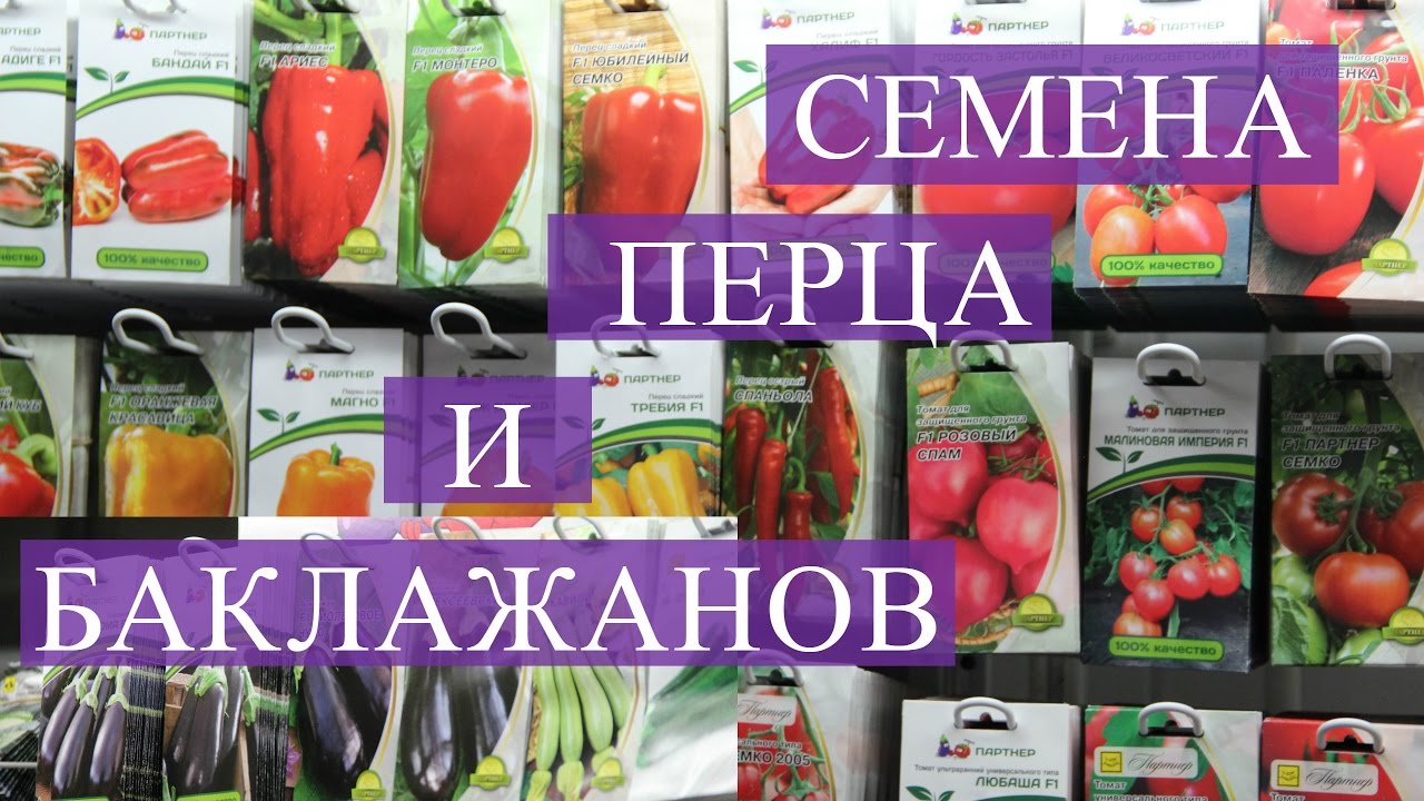 Семена Перца. Семена Баклажанов. Подготовка к проекту. (02.12.16)