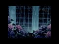 Young Quill - missing u.