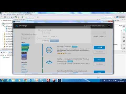 Mule ESB Tutorials