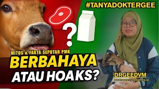 Mitos Atau Fakta? Pmk Bisa Menular Ke Manusia Lewat Susu Daging? Dr. Gee Jelaskan Tuntas