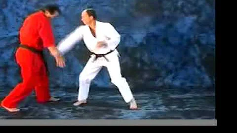 Richard Norton Black Belt Complexes