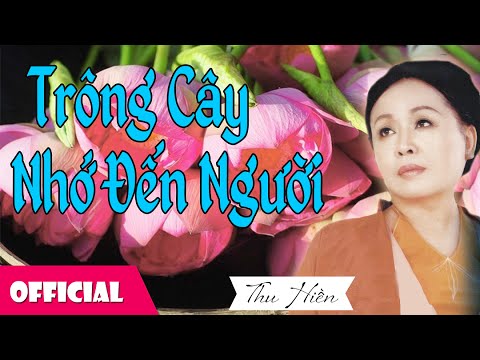 Trồng Cây Lại