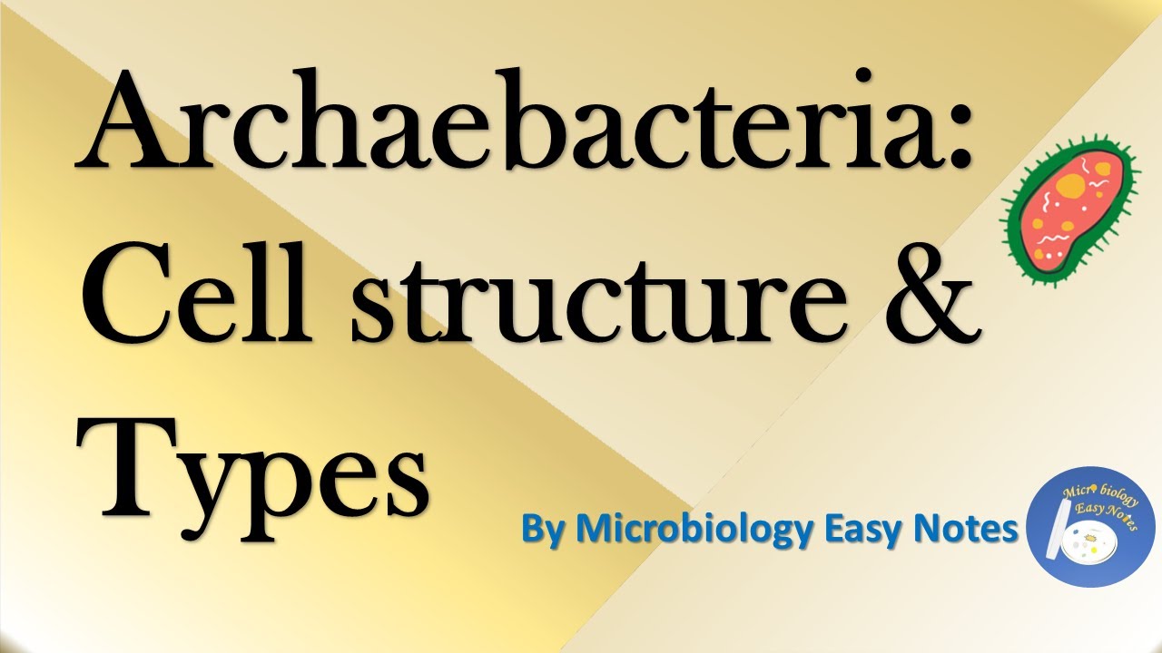 types of archaea