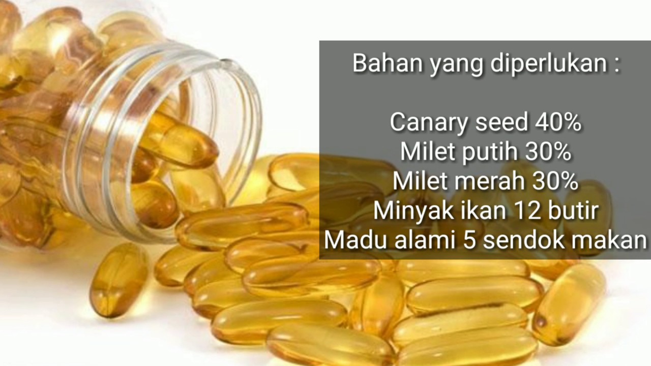 Pakan Lovebird Konslet Alami - Tentang Kolam Kandang Ternak