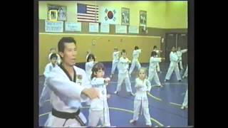 Taekwondo: Reflections of Korean Spirit