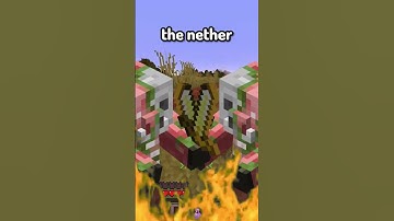 Minecraft, But Inventory is Random Every 30 Seconds