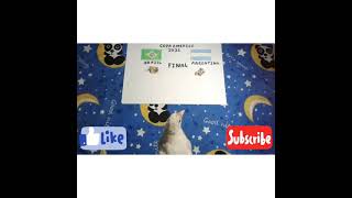 Download Lagu copa america 2021 final match prediction  Brazil vs argentina MP3