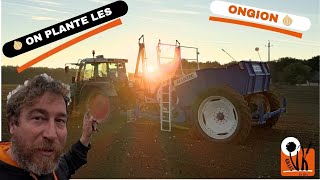 Plantation Des Oignons 2025
