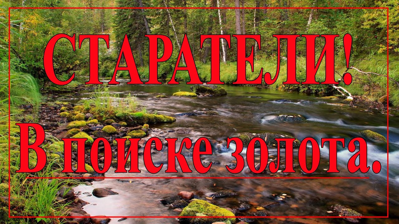 Как старатели добывают золото ! - YouTube