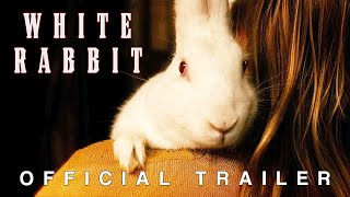 Watch White Rabbit Trailer