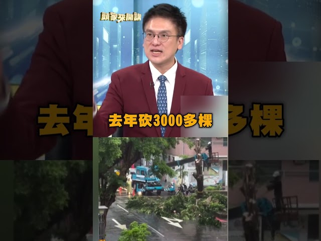 樹變神木唯一條件「不遇到蔣萬安」？徐嶔煌曝他與沈伯洋「最大差別」｜#頭家來開講