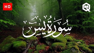 Surah Ya-Sin - Talha Alvi | سورة يس - طلحة علوي