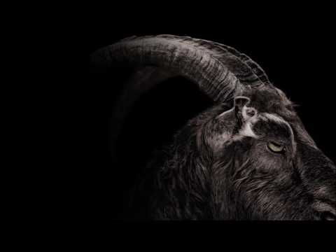 The Witch- Isle of Wight [Subtitulada al Español]