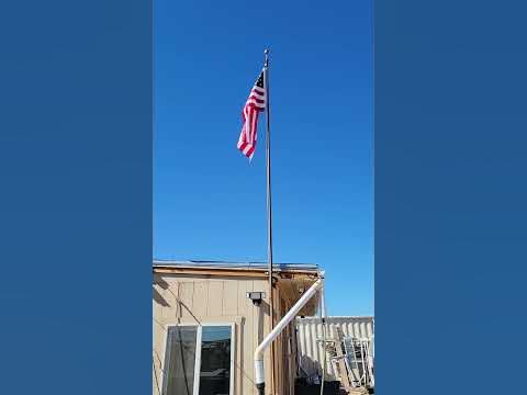 Veterans day 2024 free meals detroit