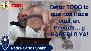 Dejar TODO lo que nos Hace Caer en Pecado Mortal - Padre Carlos Spahn