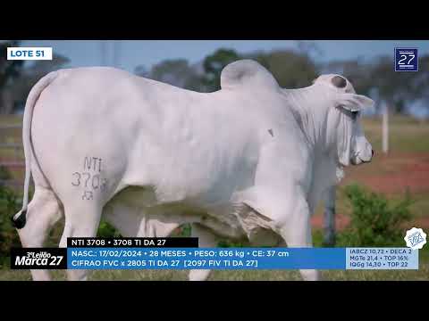 LOTE 51 - NTI 3708