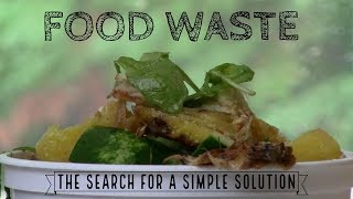 Food Waste: The Search for a Simple Solution