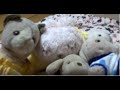A Cappella Low Normal 月光の子守唄 Moonlight Lullaby 堀江美津子 Covered By Y A A Cappella Low Normal 月光の子守唄 Moonlight Lullaby 堀江美津子 Covered By Y A