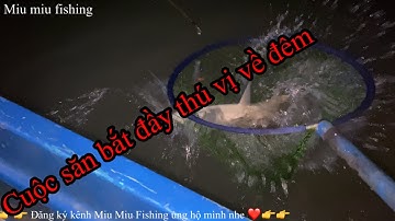 Phần 1 | Điểm câu cá cóc sông hậu|| Mồi câu cá| Hướng dẫn điểm câu cá