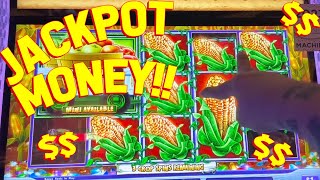 A BETTER WAY OF ENDING!! with VegasLowRoller and Shinobi on Cash Crop Slot Machines!!