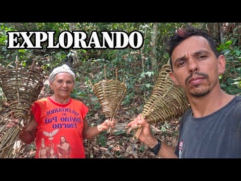 Usamos cipó aqui na selva PARA CONSTRUÇÃO de luminárias para nosso rancho