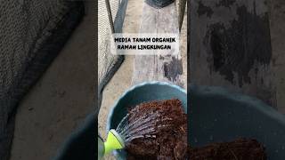 Mencampur cocopeat kedalam media tanam #garden #plants #gardening