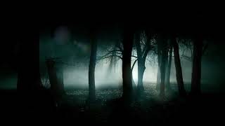 Entombed  Left Hand Path outro