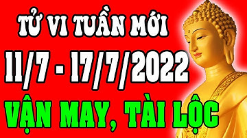 Tử vi 12 con giáp Tuần mới 11/7 - 17/7/2022 - Vận Mệnh, Tài Lộc, Công Việc, Tình Duyên, Sức Khỏe