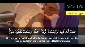 "ووصينا الإنسان بوالديه إحسانا"  تلاوة خاشعة ماهر المعيقلي