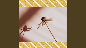 Subdued Backdrops for Summer Abstract