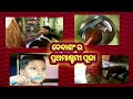papa's boy devansh  ର ପ୍ରଥମାଷ୍ଟମୀ ପୂଜା  ପାଳନ video 😍