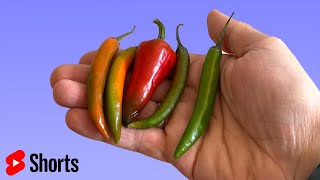 Shorts: Growing chillies is hard