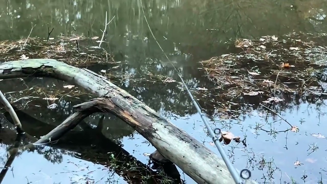 Fishing with frog big bass jump