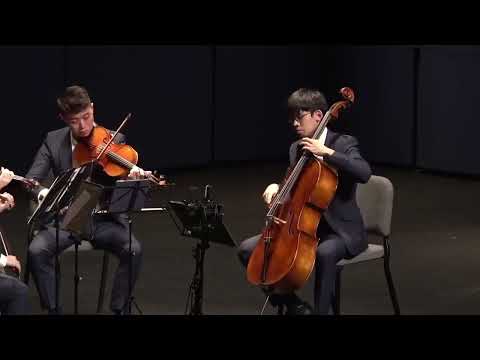 Schubert Quartettsatz in c minor