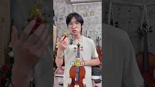 Kích thước, trọng lượng violin là bao nhiêu? #violinshop