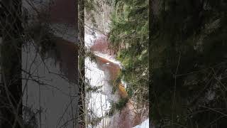 Санкт-Петербург Вартемяги Усадьба Шуваловых.Красивый вид  сверху на долину река Охта.