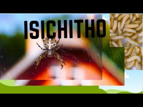 Isichitho: Signs and Prevention... Act Now!