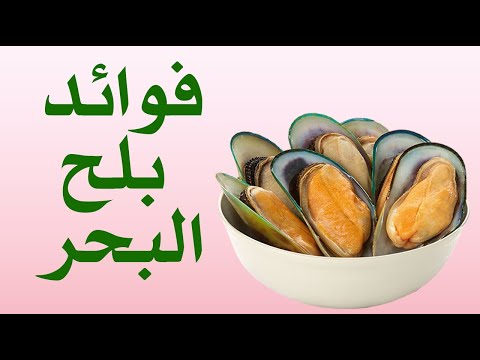 فيديو: هل بلح البحر مفيد لك؟