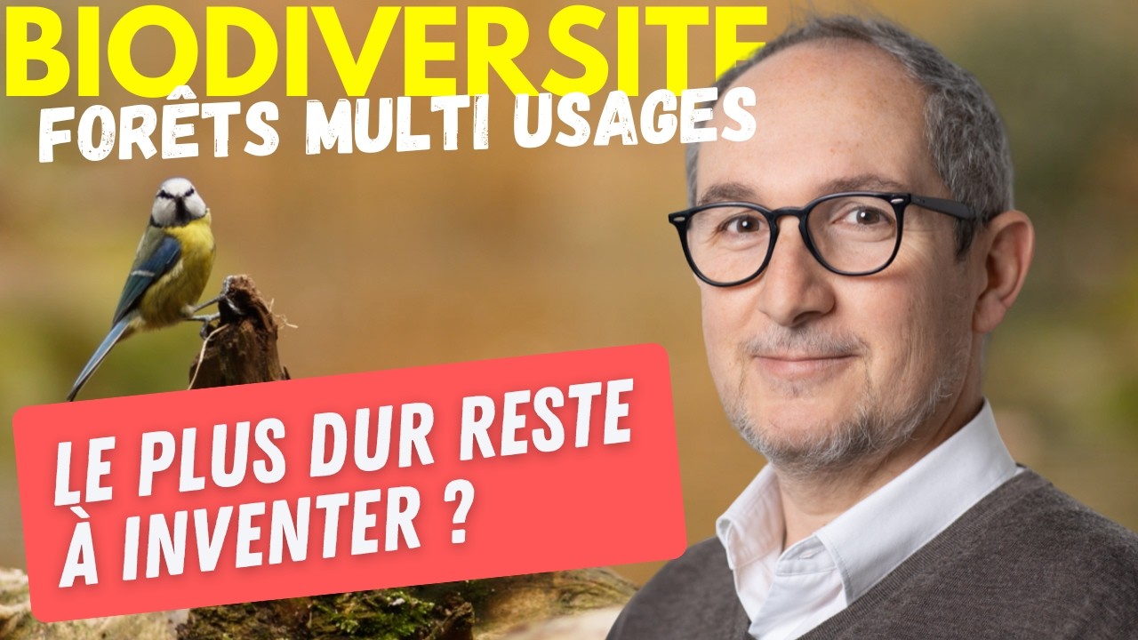Forêts multifonctionnelles oui mais qui paye, qui mesure, qui prouve ?