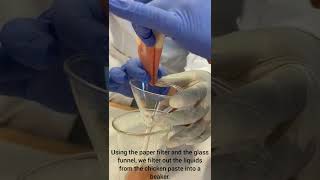 Dna Extraction From Chicken Liver