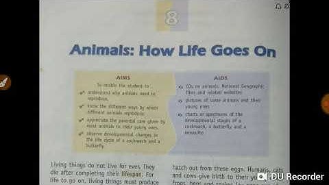 ANIMALS:How life goes on
