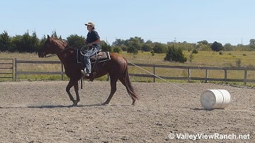Danceaholic 008 - swinging the rope! - ValleyViewRanch.net