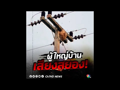 ผู้ใหญ่บ้านประกาศเสียงตามสาย แต่ทำชาวบ้านหนีกันชุลมุน | ข่าวออนไลน์ 7HD