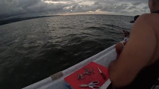 Light Tackle For Big Toau ( Invasive Snapper)