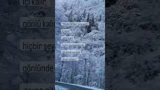 İnsanın Iki Kalbi Vardır, Biri Kanar, Öbürü Tahammül Eder.\