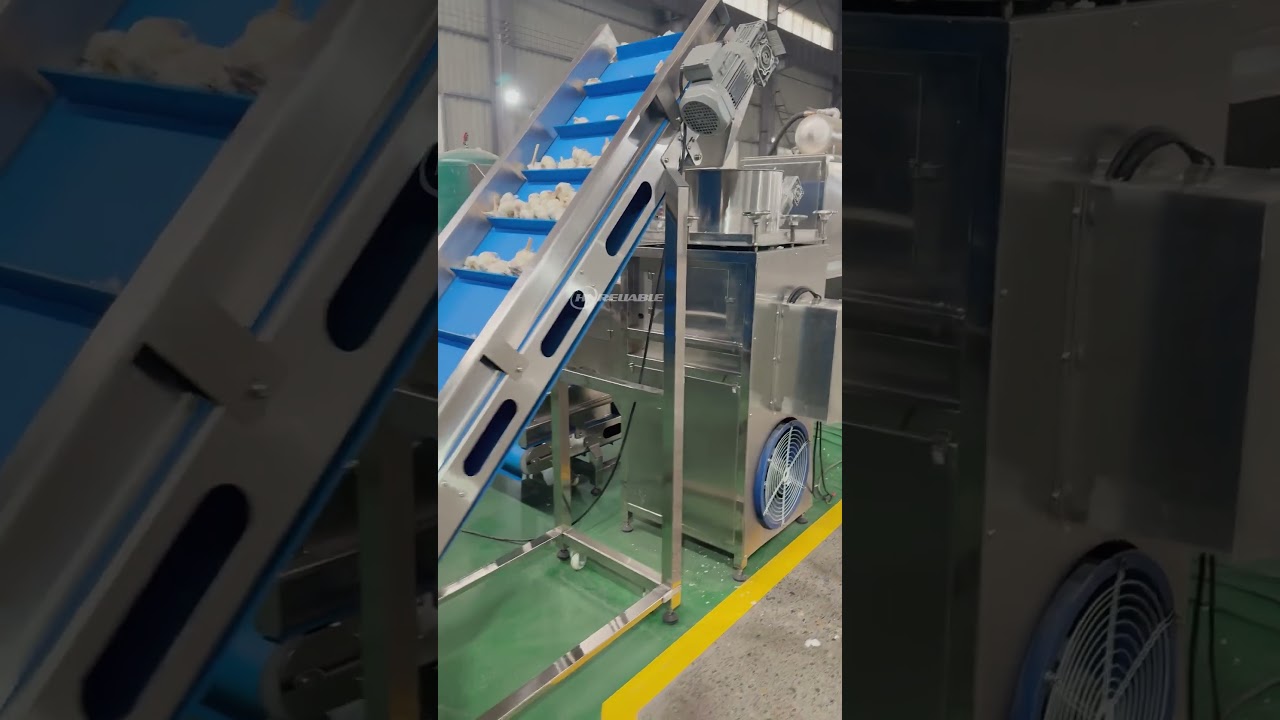 Garlic Separator#foodmachinery #garlic #vegetableprocessingline #foodmachines #cuttingmachine